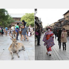 奈良京都は断層運動で盆地に（Ｃ）日刊ゲンダイ