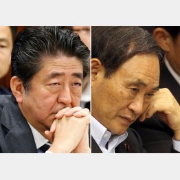 安倍首相（左）と菅官房長官／（Ｃ）日刊ゲンダイ
