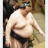 ２場所連続途中休場の稀勢の里（Ｃ）日刊ゲンダイ