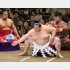 稀勢の里（Ｃ）日刊ゲンダイ