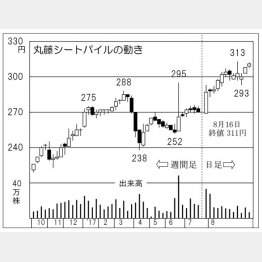 丸藤シートパイル（Ｃ）日刊ゲンダイ