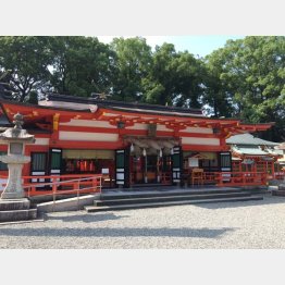 熊野速玉神社（提供写真）