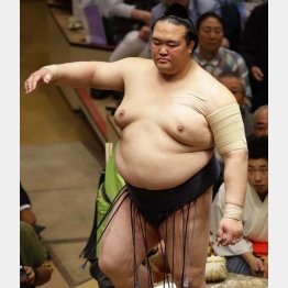 「ムリするな」という相撲協会とは対照的に…（Ｃ）日刊ゲンダイ
