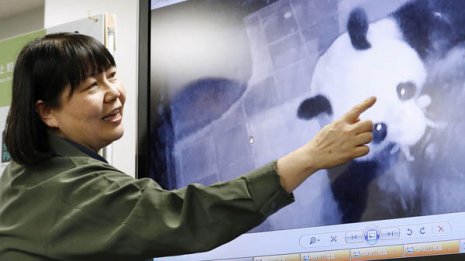 登校迷う生徒「逃げて」上野動物園の公式ツイートが話題