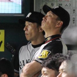 阪神人事で新たな火種 矢野二軍監督“ポスト金本”に急浮上