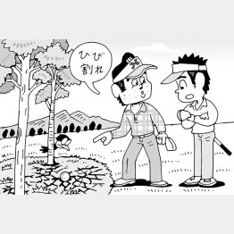 イラスト・小山混