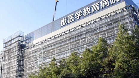 早くも教授就任辞退者…加計獣医学部は深刻な先生不足も