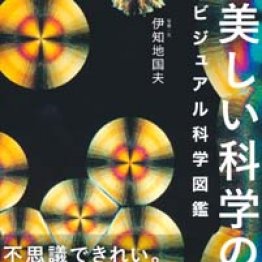 日常に潜む美を科学の目で撮影