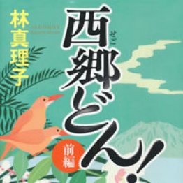 小説 西郷隆盛特集