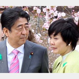 「桜を見る会」での安倍首相夫妻（Ｃ）日刊ゲンダイ