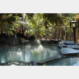 丸尾温泉「旅行人山荘」の“赤松の湯”／（提供写真）