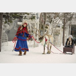 トナカイとも触れ合える（提供写真）