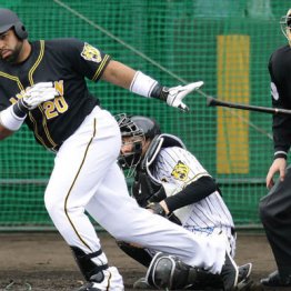阪神助っ人ロサリオ 紅白戦2安打で看板に“偽りなし”証明