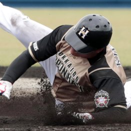 先輩のヤジに「無理っス」 日ハム清宮は“鈍感力”も武器に