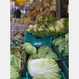 国産の生鮮野菜は高くて手が出ない（Ｃ）日刊ゲンダイ