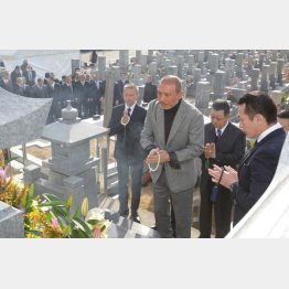 Hcc Date Box 暴力団