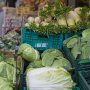春の値上げラッシュが食卓直撃 野菜の高騰いつまで続く？