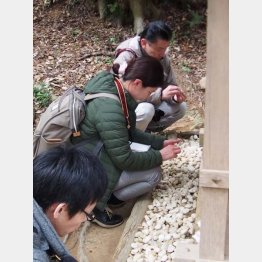 みんな夢中で石を磨く（事任八幡宮）（Ｃ）日刊ゲンダイ