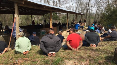 米当局が闘鶏で137人逮捕 押収されたニワトリ200羽の行方