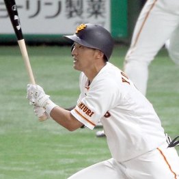 岡本と吉川がレギュラーに G若手成長は松井秀喜氏の効果か