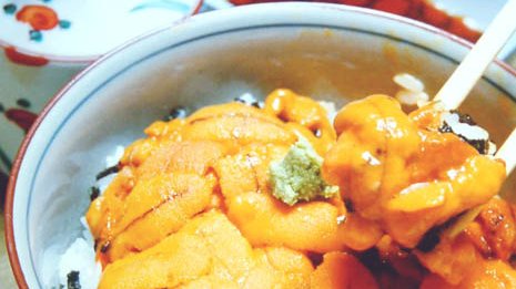 「教壇に立てない」と辞職 57歳小学教師“ウニ密漁”の代償