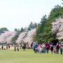 2000人もの来場者 コースを開放する観桜イベントが大人気