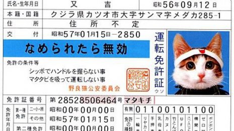 偽造免許で10年間も運転…35歳臨床工学技士の呆れた手口