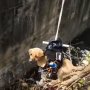 下水路に落ちた子犬救ったインド人ロボット技術者の“閃き”