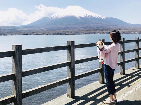 富士山が近い（Ｃ）日刊ゲンダイ