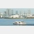 写真はイメージ（Ｃ）日刊ゲンダイ