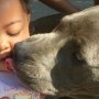 7カ月の赤ちゃんと家族を火災から救う “英雄犬”の勇敢行動