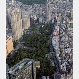 デモの出発地に使えるのは「新宿中央公園」のみに（Ｃ）共同通信社