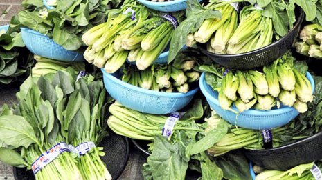 消化器系のがんを誘発 2つの毒に汚染されている日本野菜