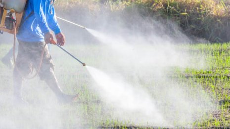 失敗できない農家が頼る農薬 使えば使うほど農協が儲かる