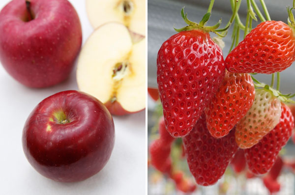 果物は野菜より農薬が多く検出される（Ｃ）日刊ゲンダイ