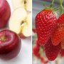 果物にも使われる怖い農薬 米国では使用地域に発達障害が