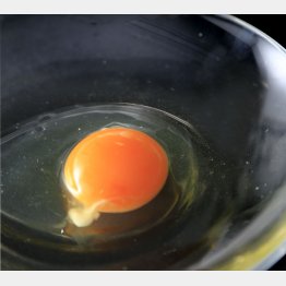 卵の色も簡単に変えられる（Ｃ）日刊ゲンダイ