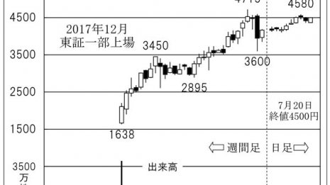 空き家や築古物件を再生して販売 「カチタス」の目利き力