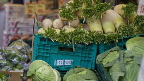 オーガニック食品をネット販売「オイシックス・ラ・大地」