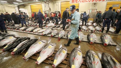 大丈夫か? 築地市場解体で花の銀座が“ネズミ王国”と化す