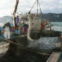 【漁業権開放】漁村の資源管理が混乱 生活基盤が崩壊する