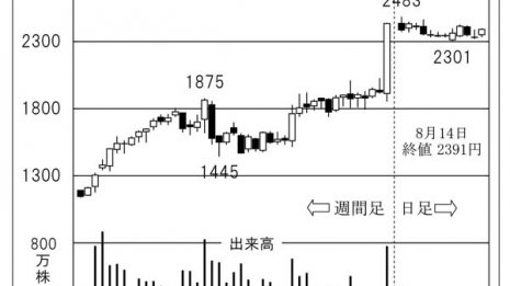 国内屈指の実力 内需関連銘柄「ネットワンシステムズ」