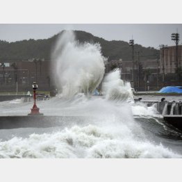 台風の影響で千葉県銚子市の海岸に激しく打ち寄せる波（Ｃ）共同通信社