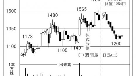 多用途&多品種のケミカルポンプが強み 「イワキ」に期待