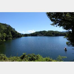 松原湖はヘラブナやワカサギ釣りでも有名（Ｃ）日刊ゲンダイ