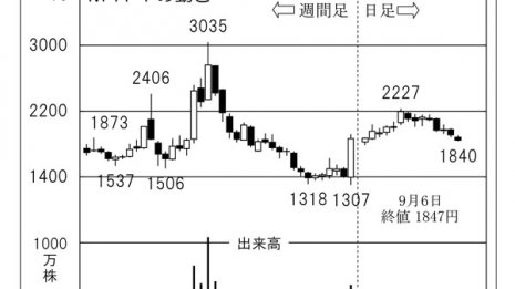 医療関連「MRT」 遠隔診療サービスが医師不足背景に絶好調