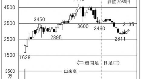 中小型不動産株が暴落…だからこそ「カチタス」再検討の時