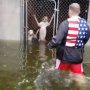 洪水で危機一髪！檻に閉じ込められた犬の救助動画が急拡散