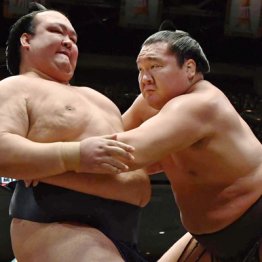 白鵬と初「横綱対決」 稀勢の里はグウの音すら出ない完敗