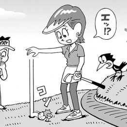 ドロップしたボールが目印のティーペッグに当たったケース